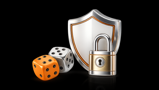 Risk & Security